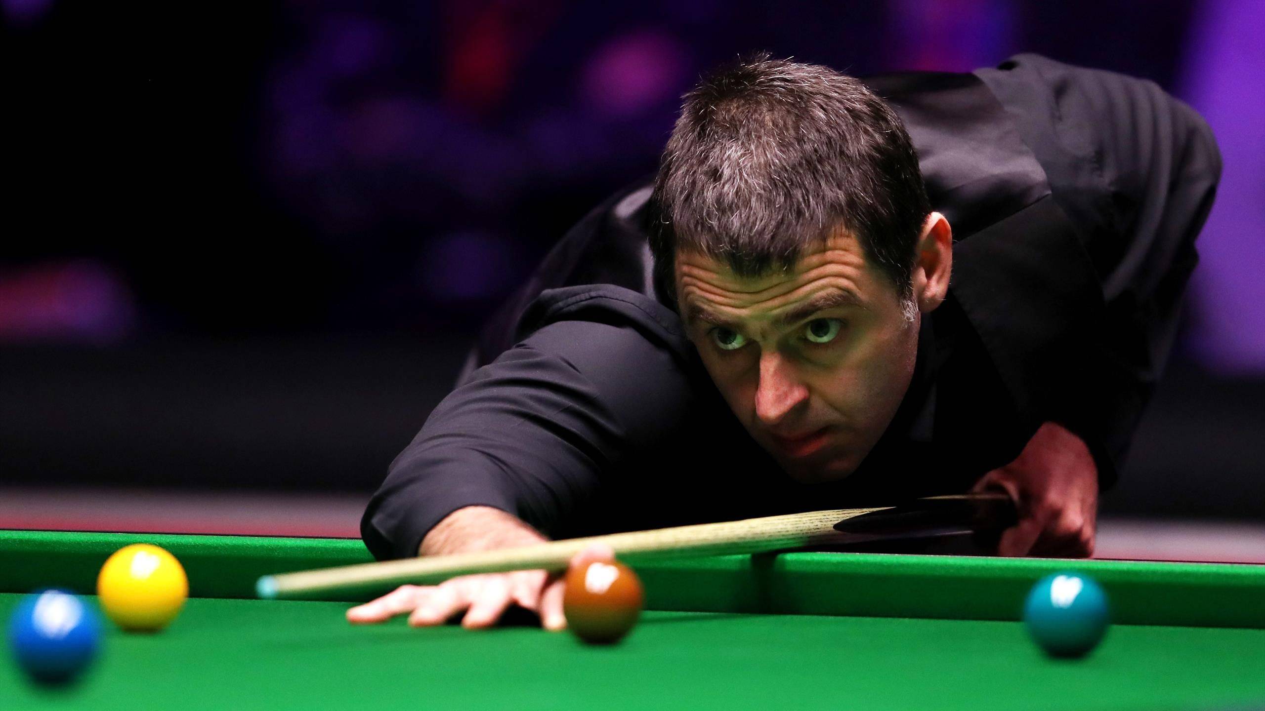 拥有一众顶 拥有一众顶