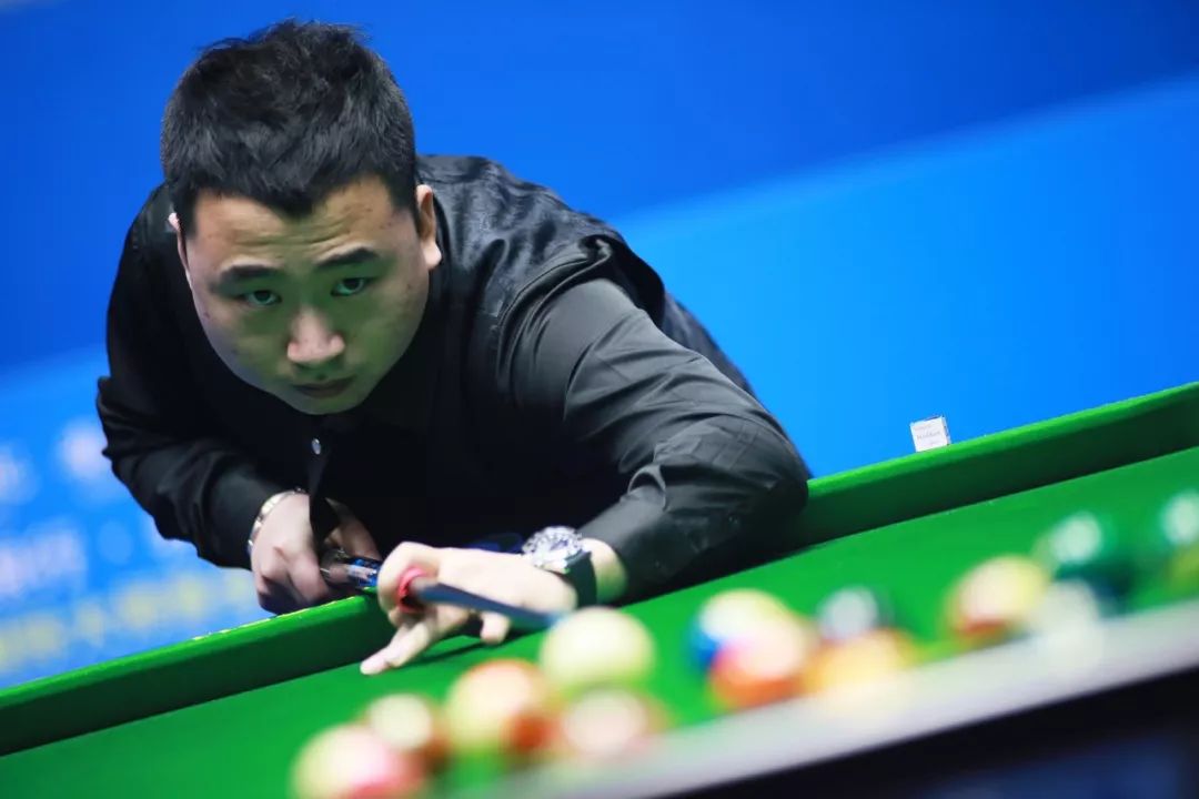 塞瓦略斯目 塞瓦略斯目